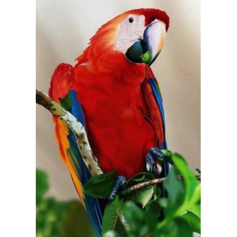 Red Parrot Diamond Painting Kit