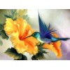 Humming Bird Diamond Painting