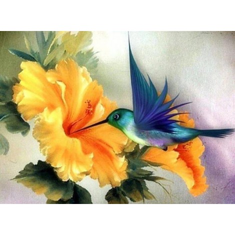 Humming Bird Diamond Painting