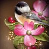 Flowers & Sparrow Diamond Painting