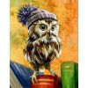 Owl with Cap