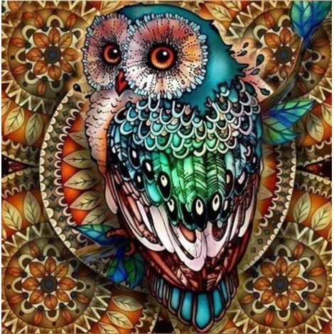 Colorful Owl