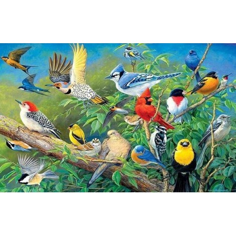 Collection of Birds DIY Diamond Painting