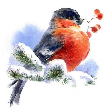 Snow Sparrow Diamond Painting