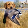 Hunter Dog Diamond Painting