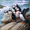 Puffins Diamond Painting Kit